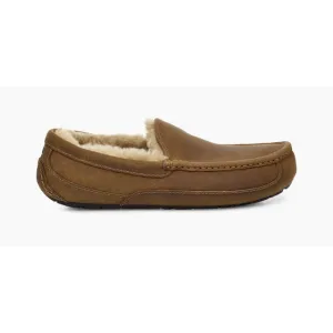 Men's Ascot Matte Leather
