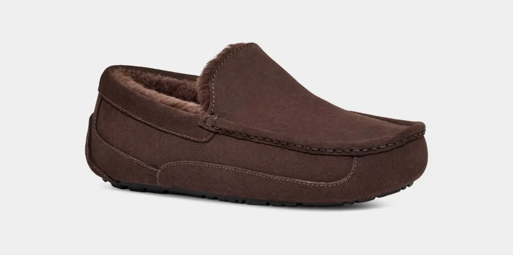 Men's Ascot Slipper