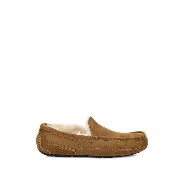 Men's Ascot Slipper