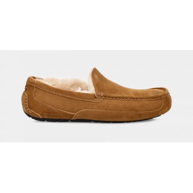 Men's Ascot Slipper